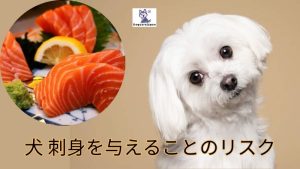 犬 刺身を与えることのリスク