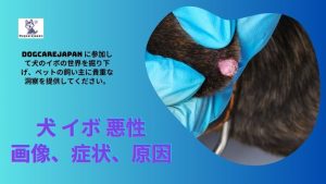 犬 イボ 悪性 画像、症状、原因