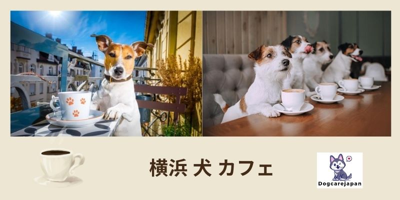 横浜 犬 カフェ