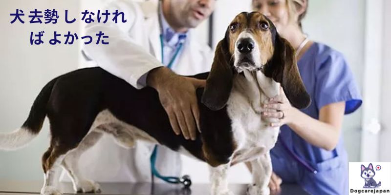 犬 去勢 し なけれ ば よかった