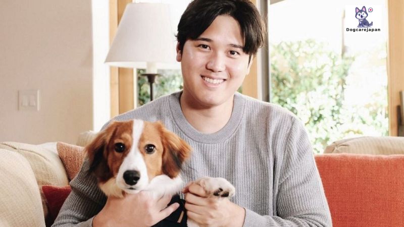 大谷 翔平 犬