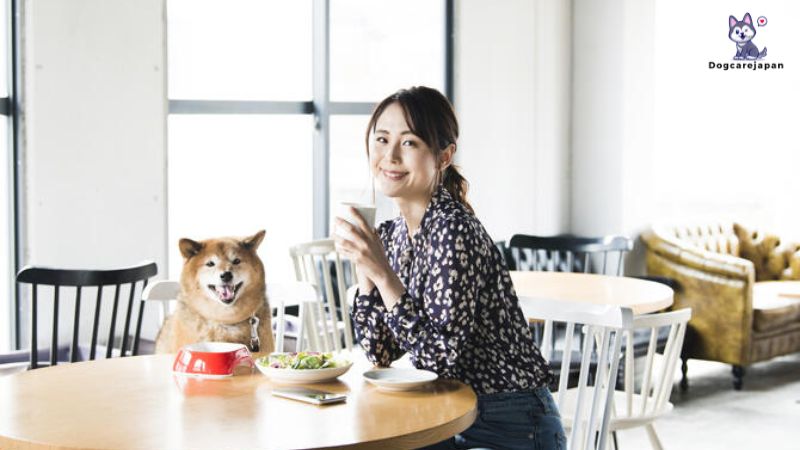 東京 犬 カフェは？行くときの注意点