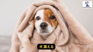 犬 震える